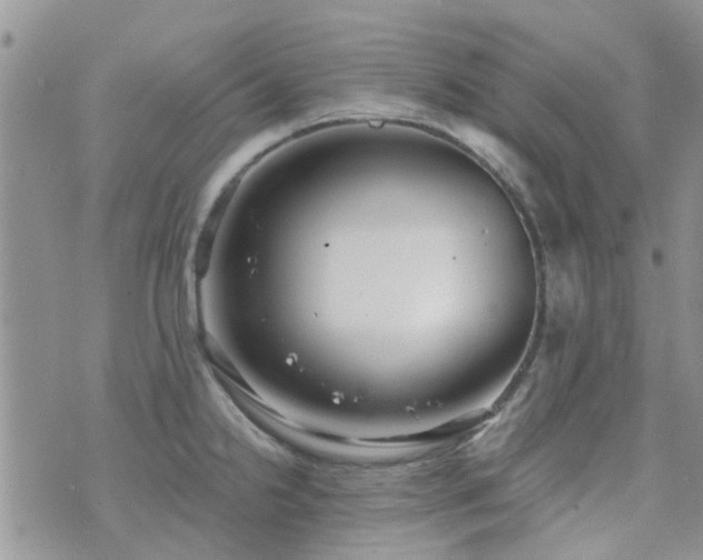 X0000073711238200608031231