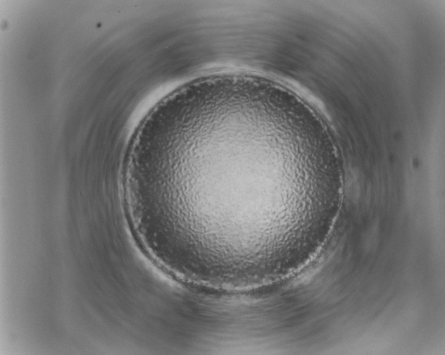 X0000073711239200608031231