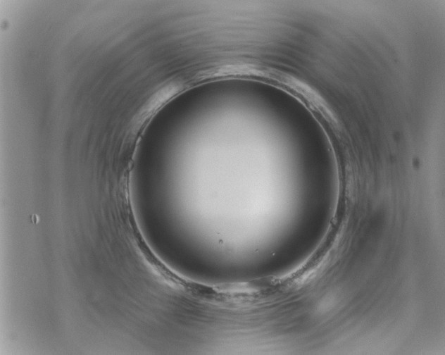 X0000073711241200608031231