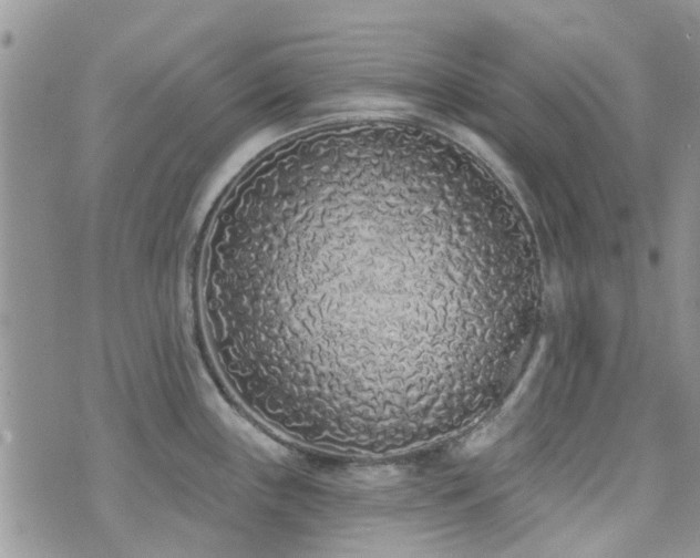 X0000073711243200608031231