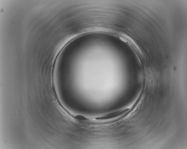 X0000073711244200608031231