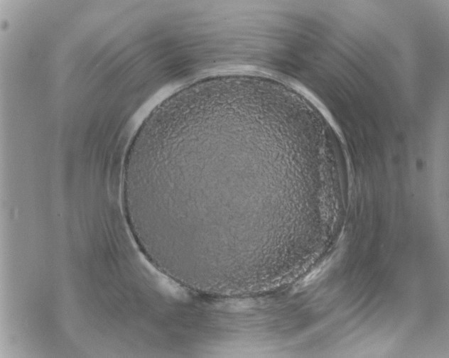 X0000073711245200608031231