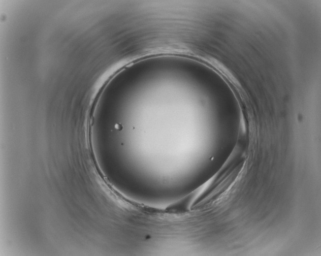 X0000073711246200608031231