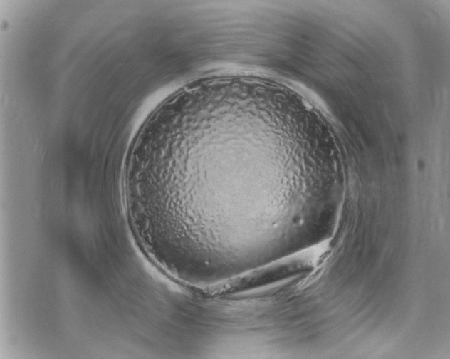 X0000073711247200608031231