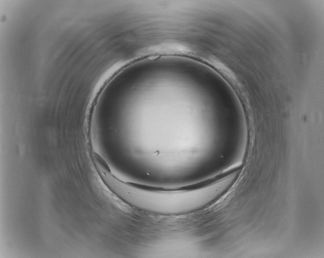 X0000073711248200608031231