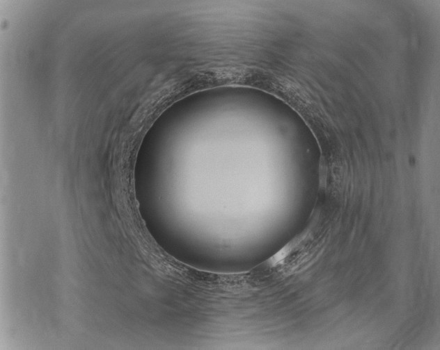 X0000073711249200608031231