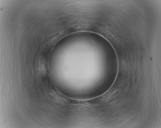 X0000073711250200608031231