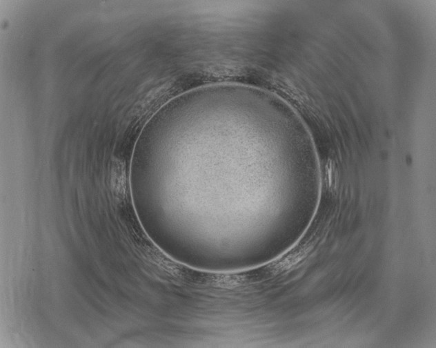 X0000073711251200608031231