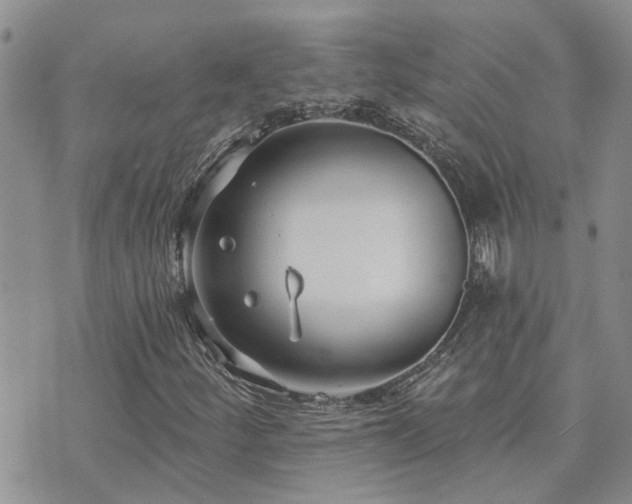 X0000073711252200608031231