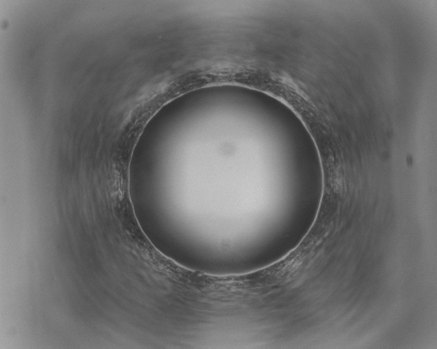 X0000073711253200608031231