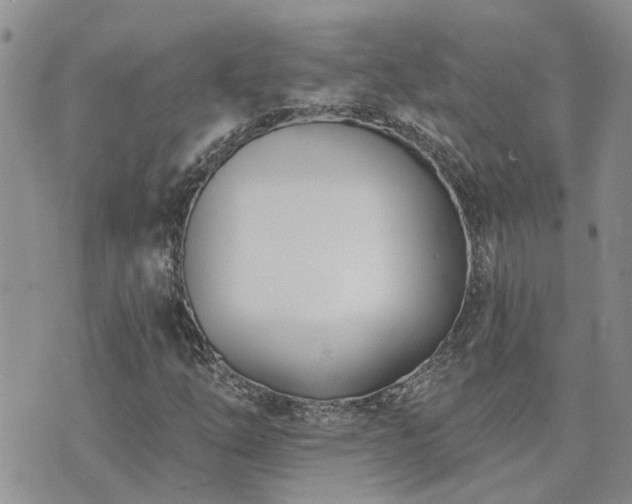 X0000073711254200608031231