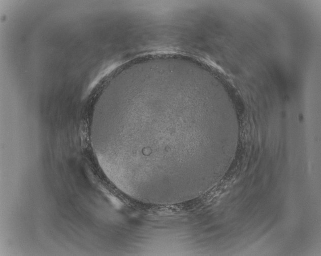 X0000073711255200608031231