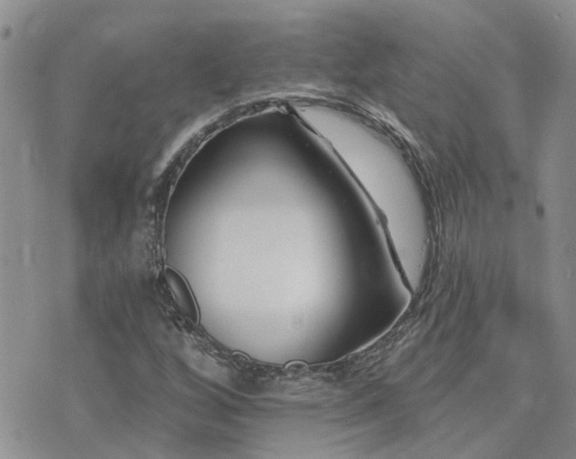 X0000073711256200608031231