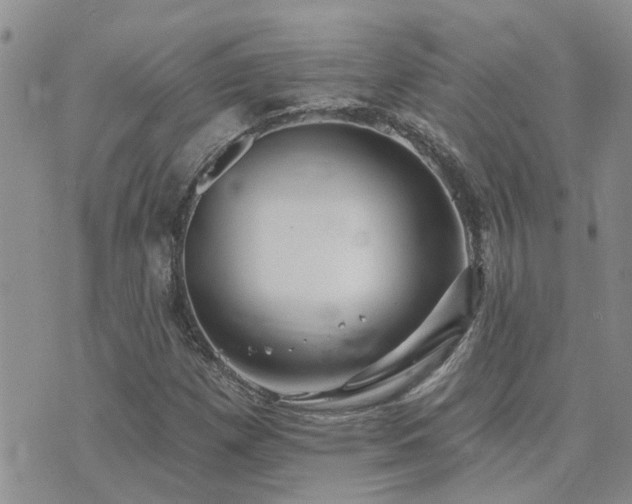 X0000073711257200608031231