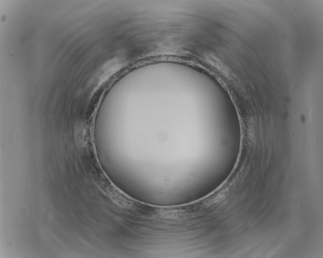 X0000073711258200608031231