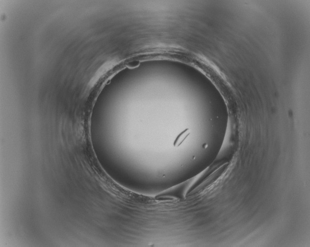 X0000073711259200608031231