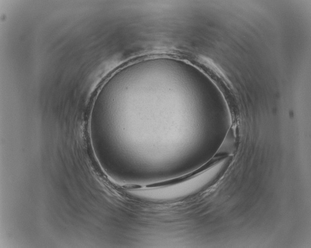 X0000073711260200608031231