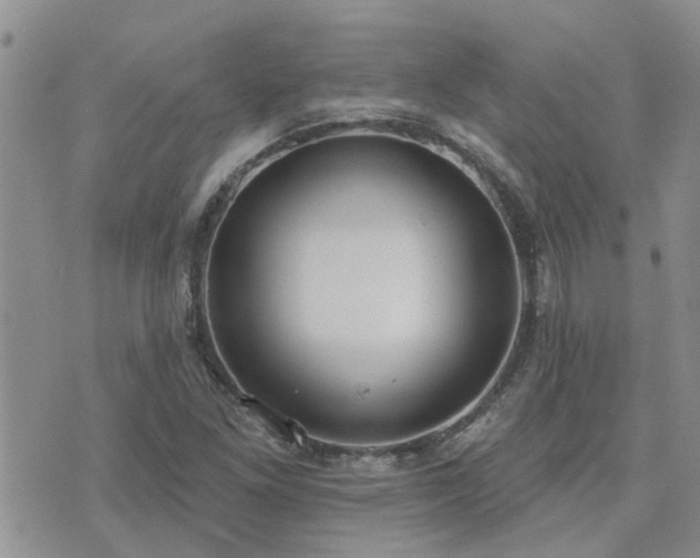 X0000073711261200608031231