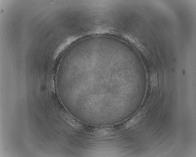 X0000073711262200608031230