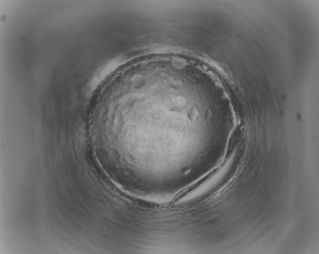 X0000073711263200608031230