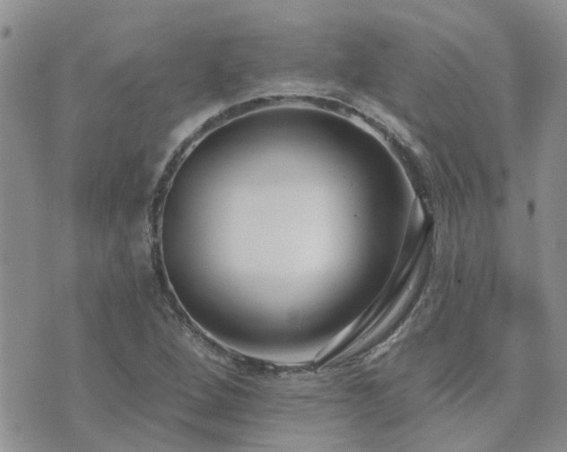 X0000073711264200608031230