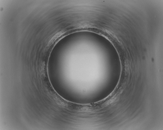 X0000073711265200608031230