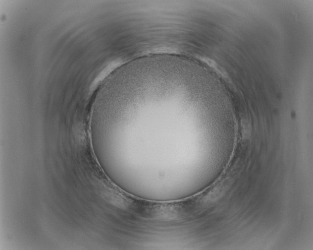 X0000073711266200608031230