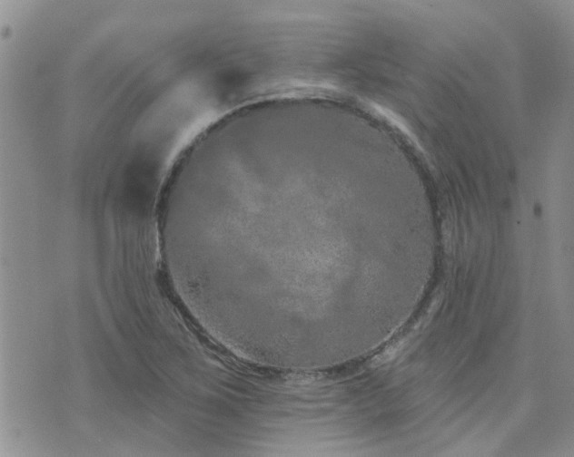 X0000073711267200608031230