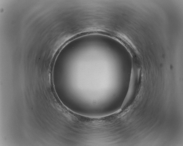 X0000073711268200608031230