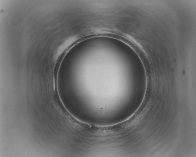 X0000073711269200608031230