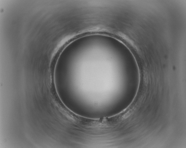 X0000073711270200608031230