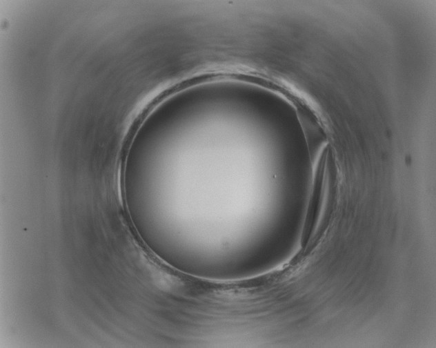 X0000073711272200608031230