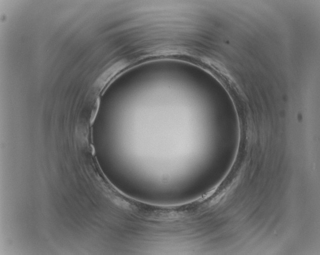 X0000073711273200608031230