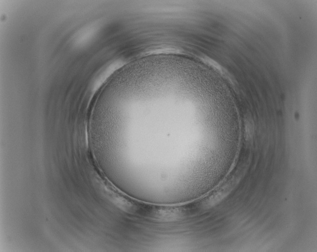 X0000073711274200608031230