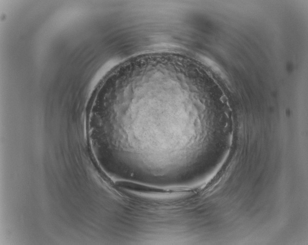 X0000073711275200608031230