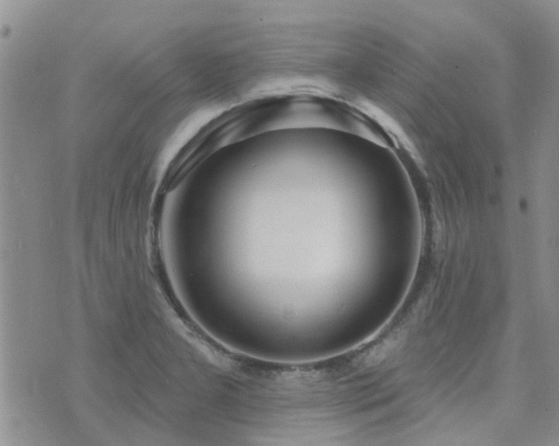 X0000073711277200608031230