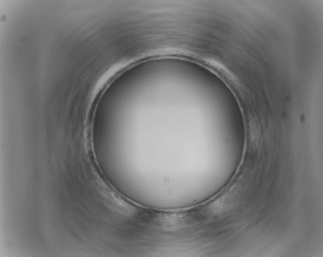 X0000073711278200608031230