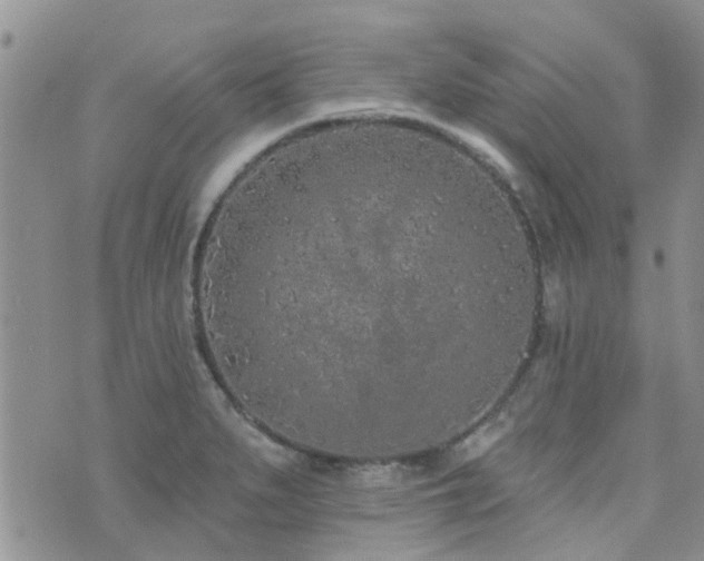 X0000073711279200608031230