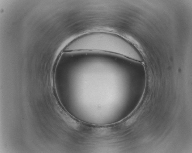 X0000073711280200608031230