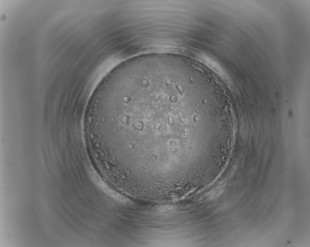 X0000073711283200608031230