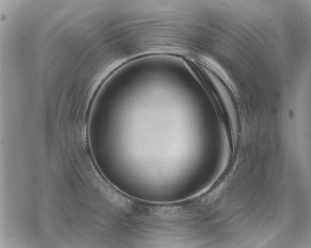 X0000073711284200608031230