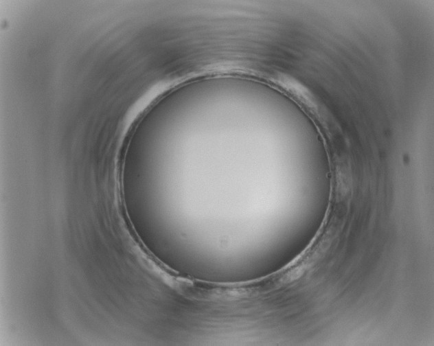 X0000073711286200608031230