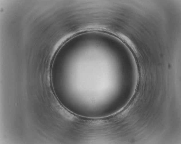 X0000073711288200608031230