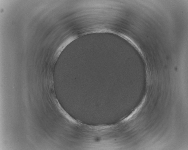 X0000073711289200608031230