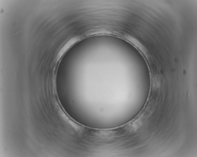 X0000073711290200608031230