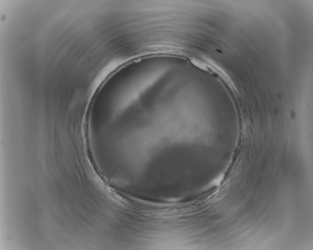 X0000073711291200608031230