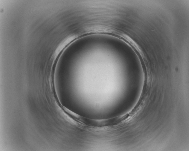 X0000073711293200608031230