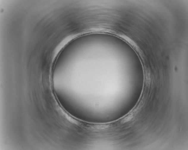 X0000073711294200608031230