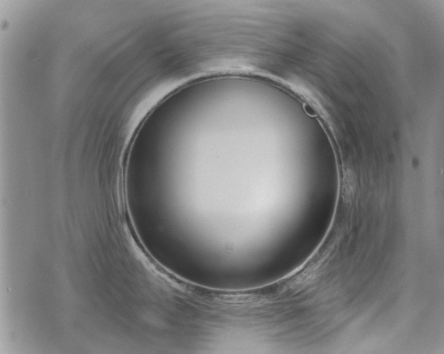 X0000073711295200608031230