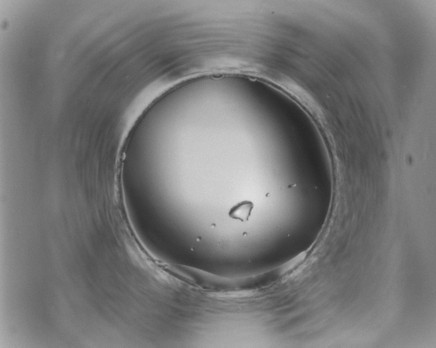 X0000073711296200608031230